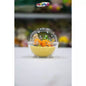Trapinch – Pokémon Terrarium Collection Figurine